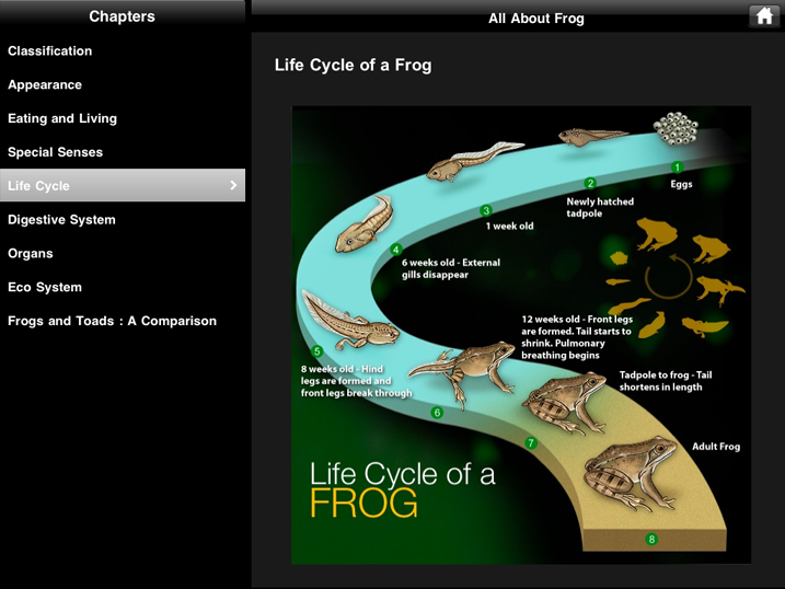 virtual frog dissection game free