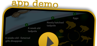 App Demo